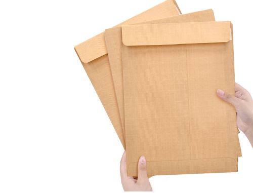 Envelope liderpapel n.11 bolsa folio prolongado castanho 250x353 mm tira de silicone pack de 250 unidades , Liderpapel , 31943 , 8423473319431